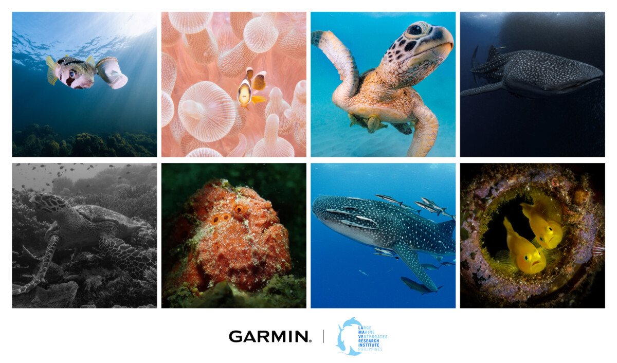 20210922 Garmin 02 - Garmin 攜手海洋動保組織 發起亞洲海洋公益活動