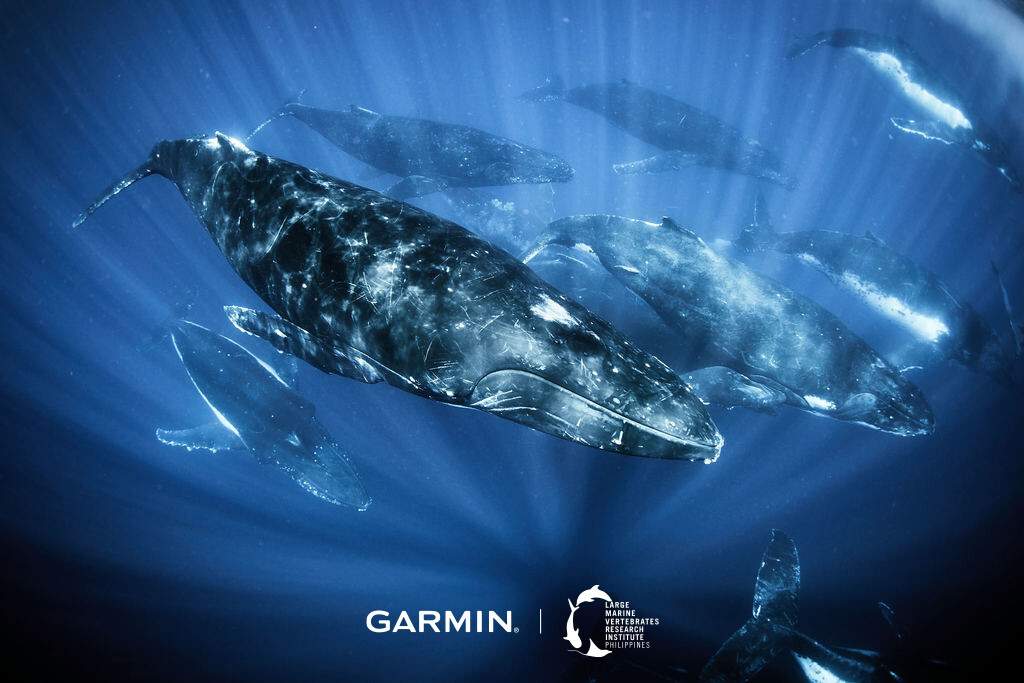 20210922 Garmin 03 - Garmin 攜手海洋動保組織 發起亞洲海洋公益活動