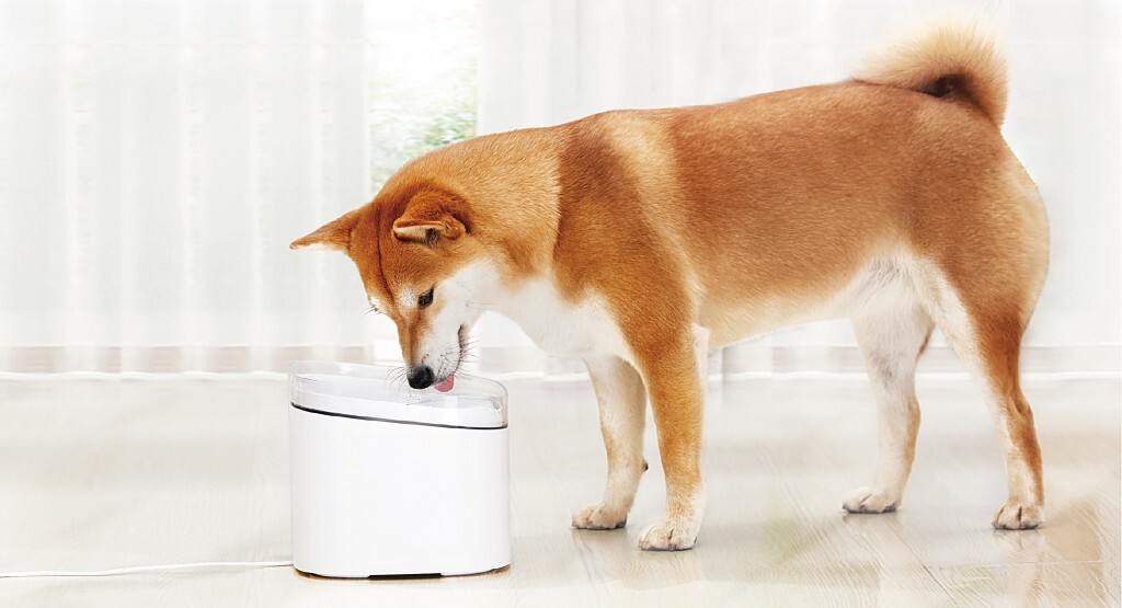 xiaomi smart home appliances are all new smar 18 - 小米智慧家庭今推出全新智慧顯示器 A2 系列、超輕量無線吸塵器、智慧寵物餵食器及寵物飲水機等多款新品